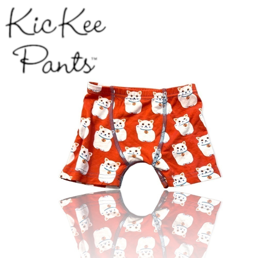 New kickee pants lucky cat boxer set